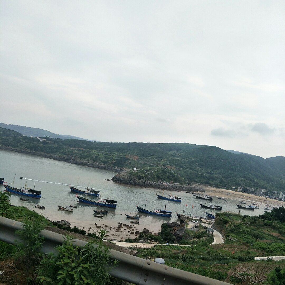 浙江省溫州市蒼南縣馬站鎮龍魁線