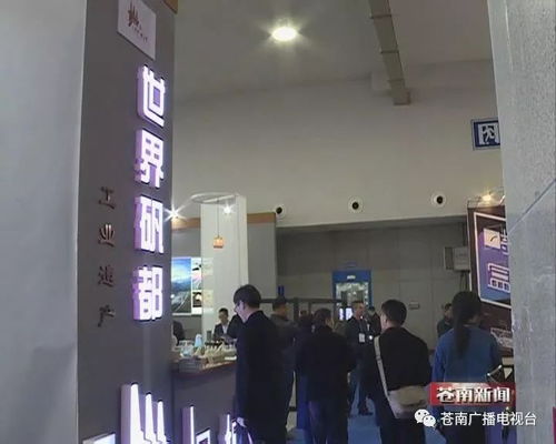 我縣 文化 創意 產品驚艷亮相2018溫州國際時尚文博會